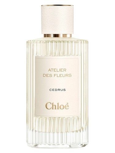 Chloe Cedrus